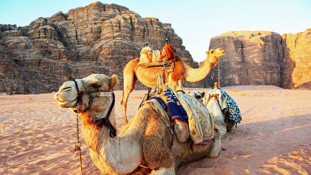 Egypt & Jordan Discovery