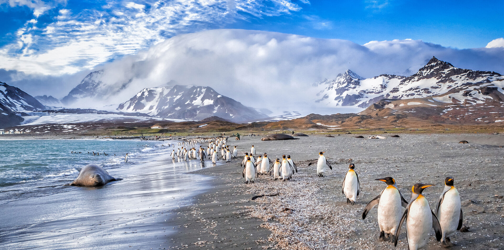 Antarctica, Falklands & South Georgia Expedition