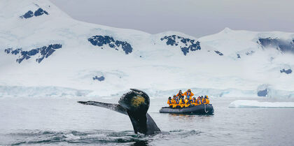 Antarctic Explorer