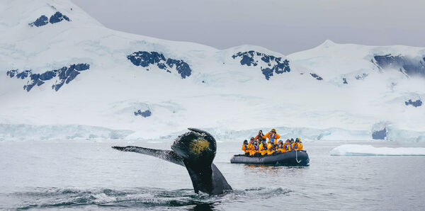 Antarctic Explorer